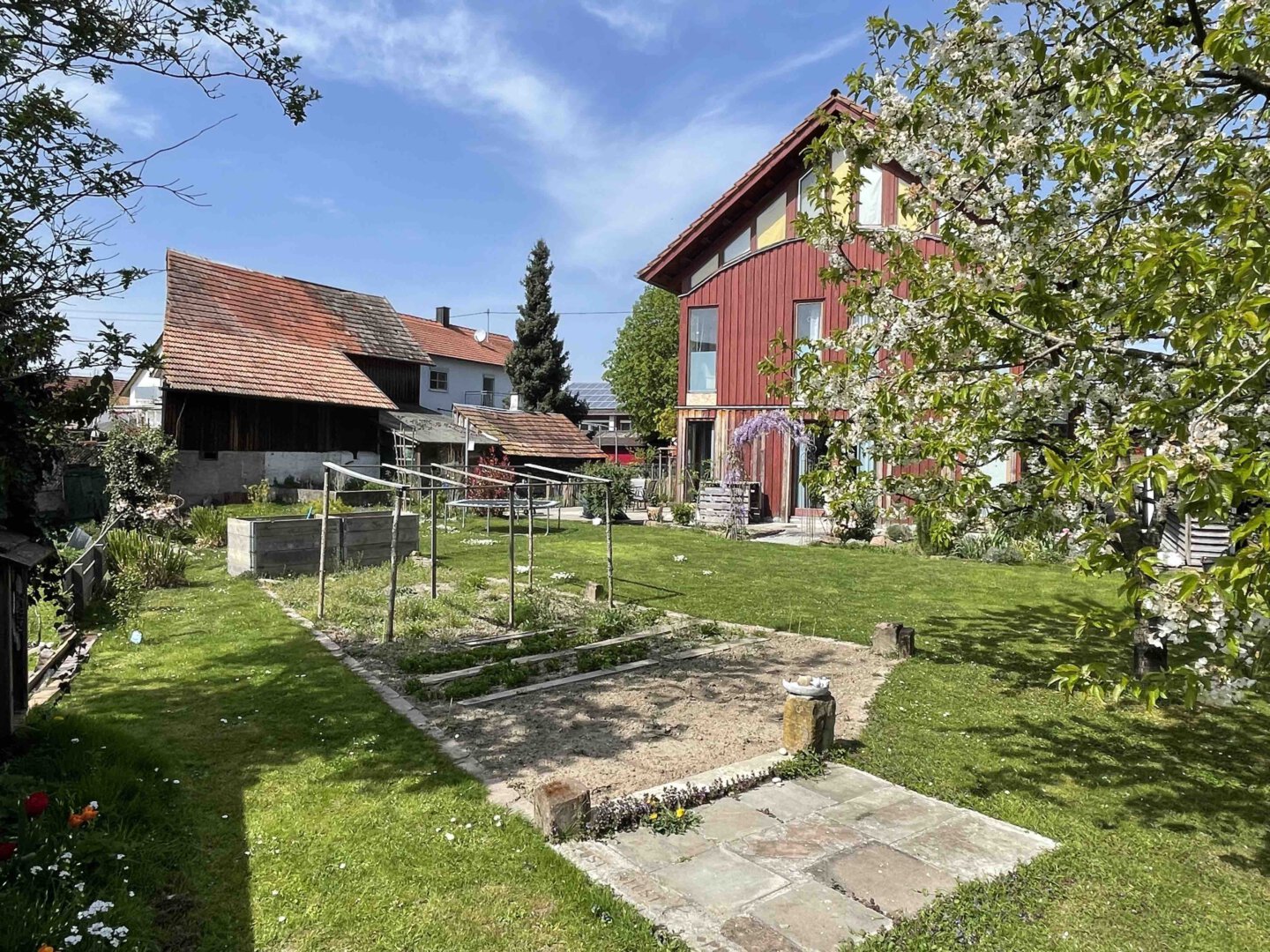 Im sonnigen Garten in Schwanau steht ein rotes Architektenhaus mit großen Fenstern, daneben grüner Rasen und blühender Baum