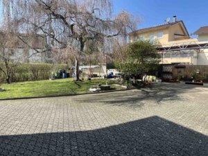 Sonniger Garten mit grünem Rasen, großem Baum, Gartenzubehör sowie einer Garage und einem Dreifamilienhaus im Hintergrund
