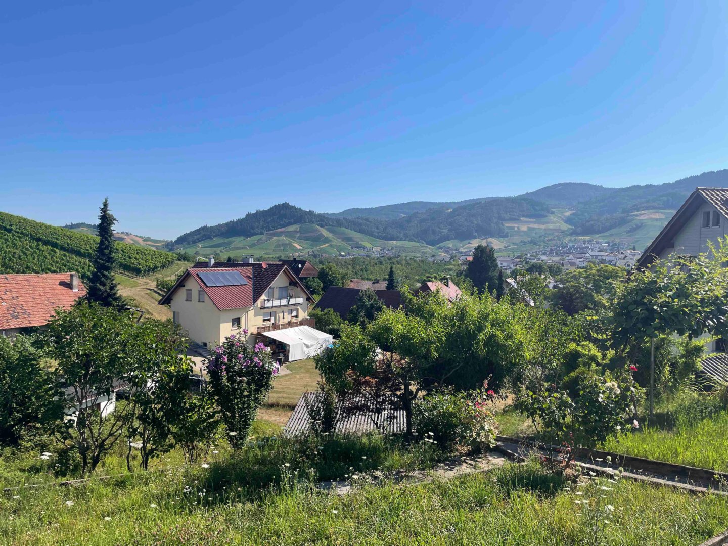 Aussicht vom Garten